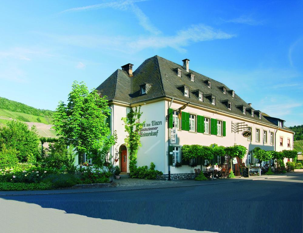 Hotel Seminarshof Trittenheim Esterno foto